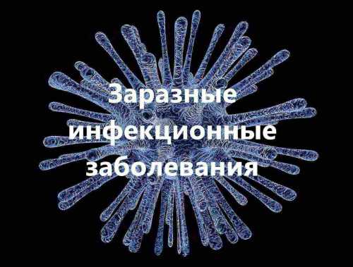 виды хламидийной инфекции у детей виды хламидийной инфекции у детей